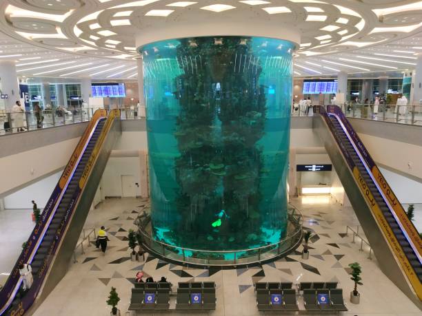 big aquarium located in new airport jeddah, saudi arabia - Jeddah, Saudi Arabia 16 December 2020